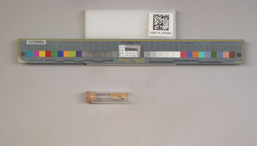 NSF ADBC EPICC TCN