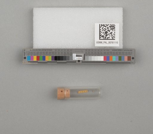 NSF ADBC EPICC TCN