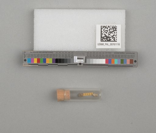NSF ADBC EPICC TCN