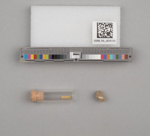 NSF ADBC EPICC TCN
