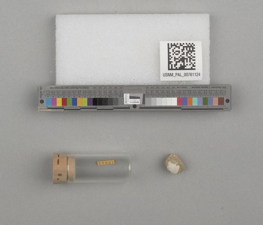 NSF ADBC EPICC TCN