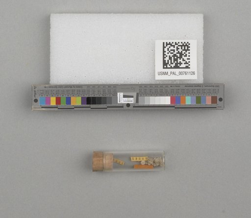 NSF ADBC EPICC TCN