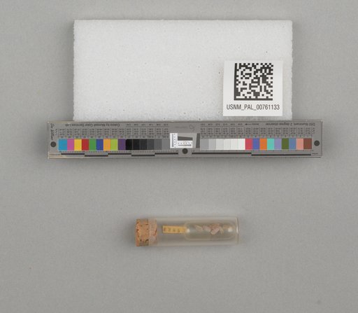 NSF ADBC EPICC TCN