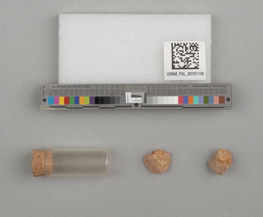 NSF ADBC EPICC TCN