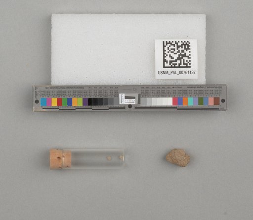NSF ADBC EPICC TCN