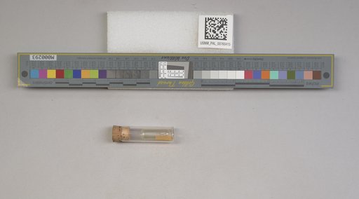 NSF ADBC EPICC TCN