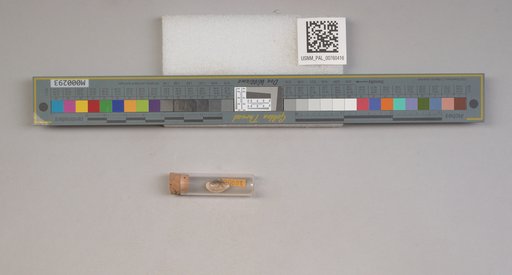 NSF ADBC EPICC TCN