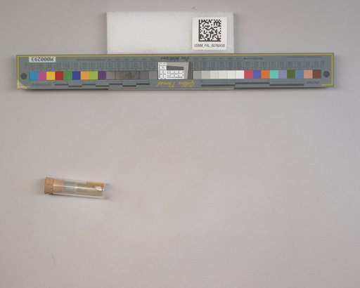 NSF ADBC EPICC TCN