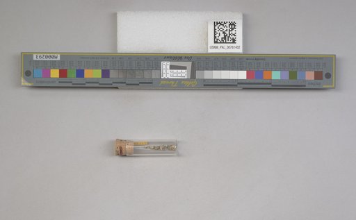 NSF ADBC EPICC TCN