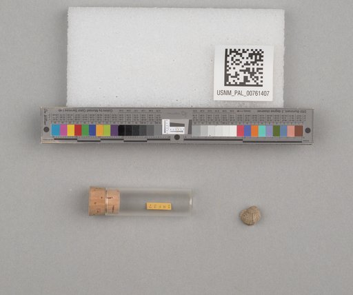 NSF ADBC EPICC TCN