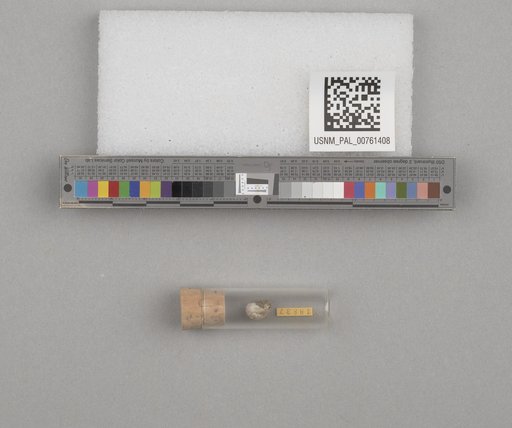 NSF ADBC EPICC TCN