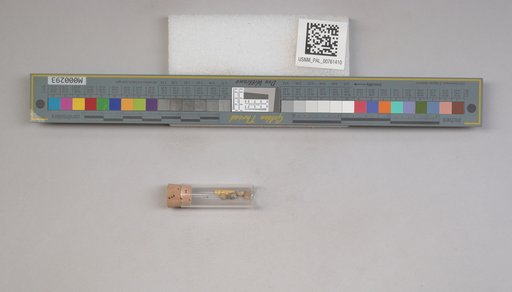 NSF ADBC EPICC TCN