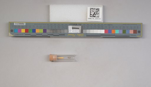 NSF ADBC EPICC TCN