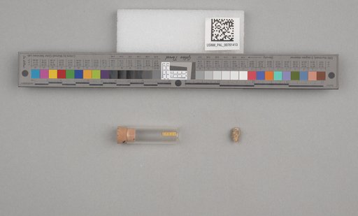 NSF ADBC EPICC TCN
