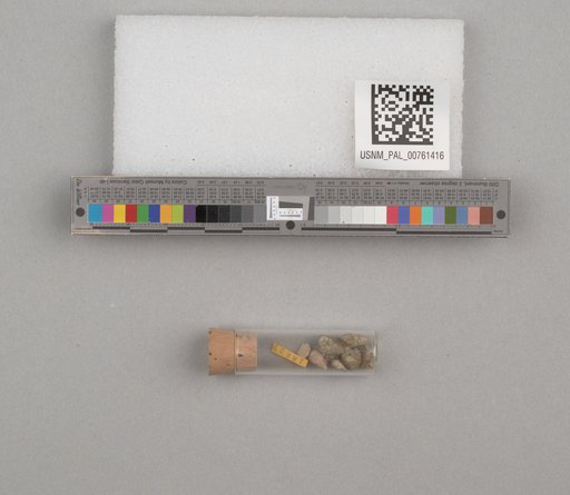NSF ADBC EPICC TCN