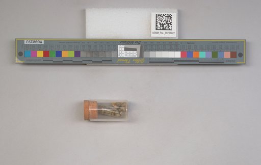 NSF ADBC EPICC TCN