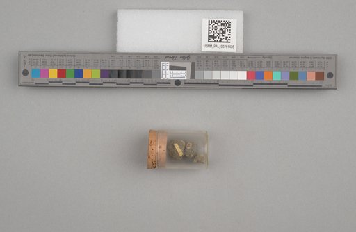NSF ADBC EPICC TCN