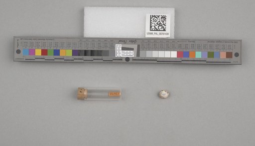 NSF ADBC EPICC TCN