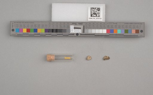 NSF ADBC EPICC TCN
