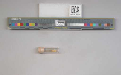 NSF ADBC EPICC TCN
