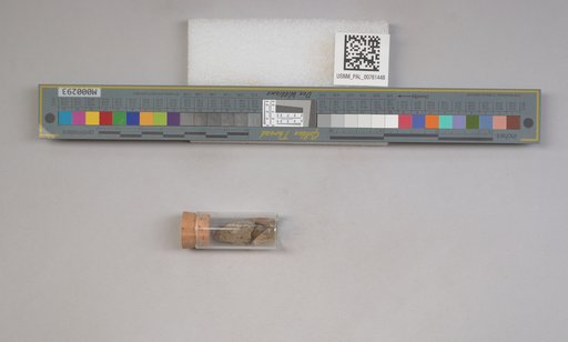 NSF ADBC EPICC TCN