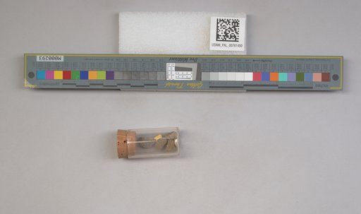 NSF ADBC EPICC TCN