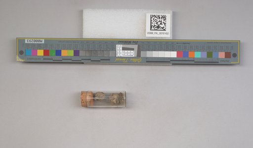NSF ADBC EPICC TCN