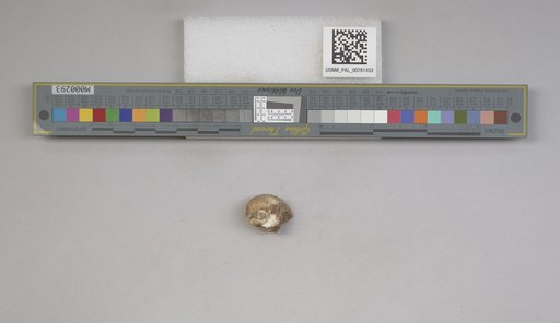 NSF ADBC EPICC TCN