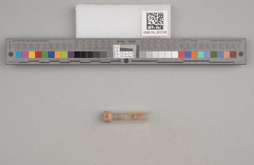 NSF ADBC EPICC TCN