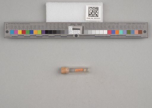 NSF ADBC EPICC TCN