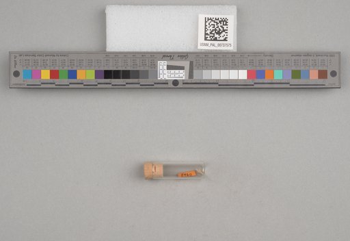 NSF ADBC EPICC TCN