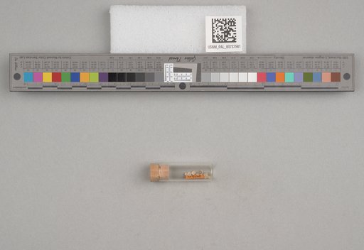 NSF ADBC EPICC TCN