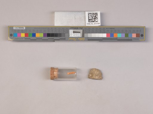 NSF ADBC EPICC TCN