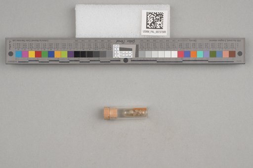 NSF ADBC EPICC TCN