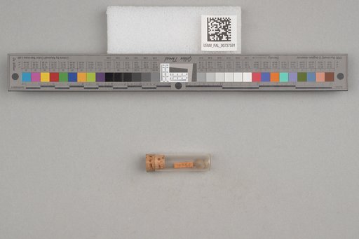 NSF ADBC EPICC TCN
