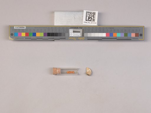 NSF ADBC EPICC TCN