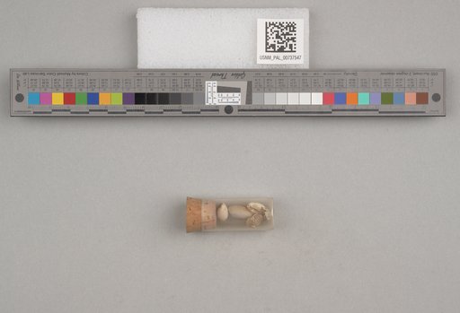 NSF ADBC EPICC TCN