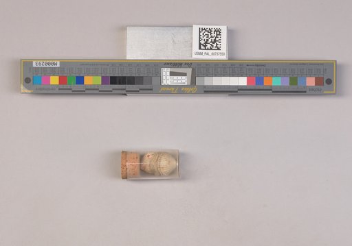 NSF ADBC EPICC TCN