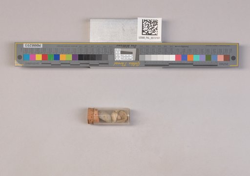 NSF ADBC EPICC TCN