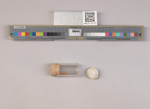 NSF ADBC EPICC TCN
