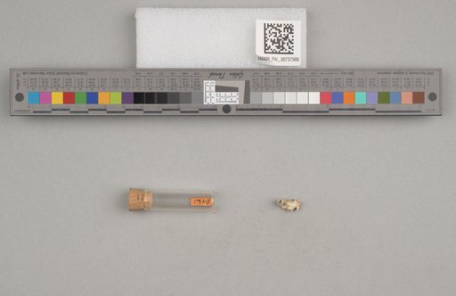NSF ADBC EPICC TCN