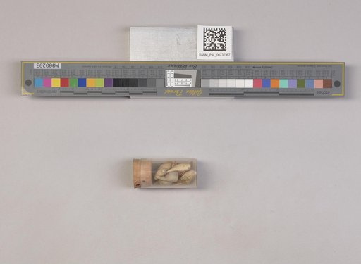 NSF ADBC EPICC TCN