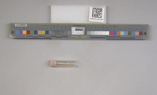 NSF ADBC EPICC TCN