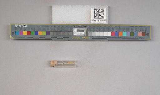 NSF ADBC EPICC TCN