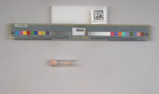 NSF ADBC EPICC TCN