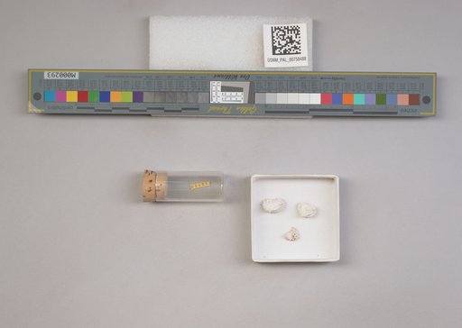 NSF ADBC EPICC TCN