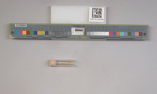 NSF ADBC EPICC TCN