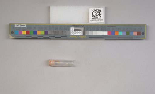 NSF ADBC EPICC TCN