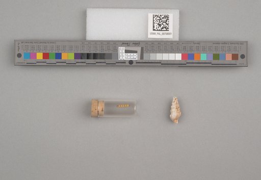 NSF ADBC EPICC TCN