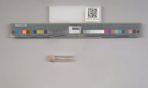 NSF ADBC EPICC TCN